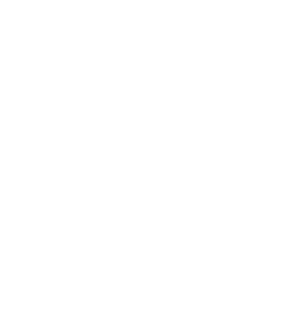 ZHRI Hero